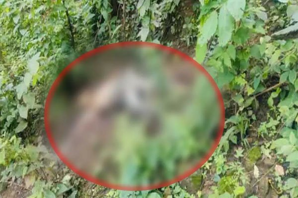 Featured Image Featured Image