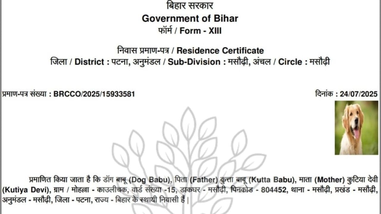 Featured Image Featured Image