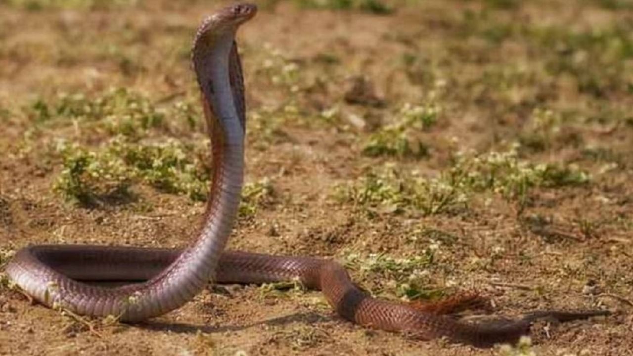 Featured Image Featured Image