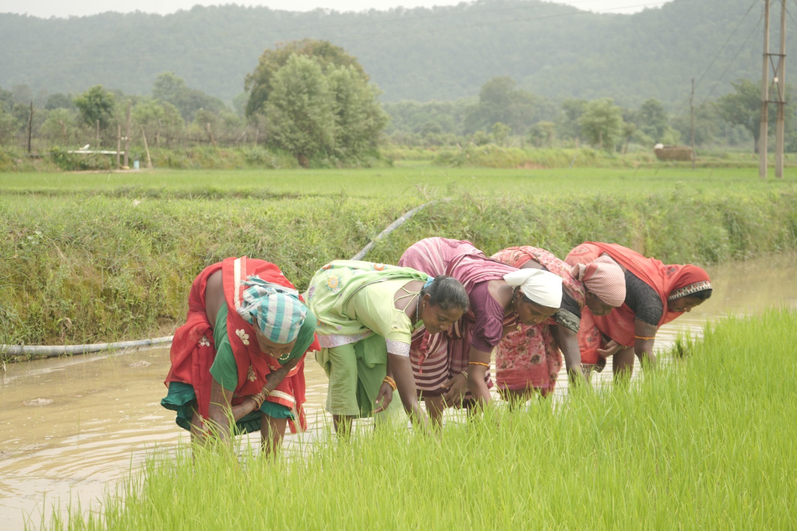 Featured Image Featured Image