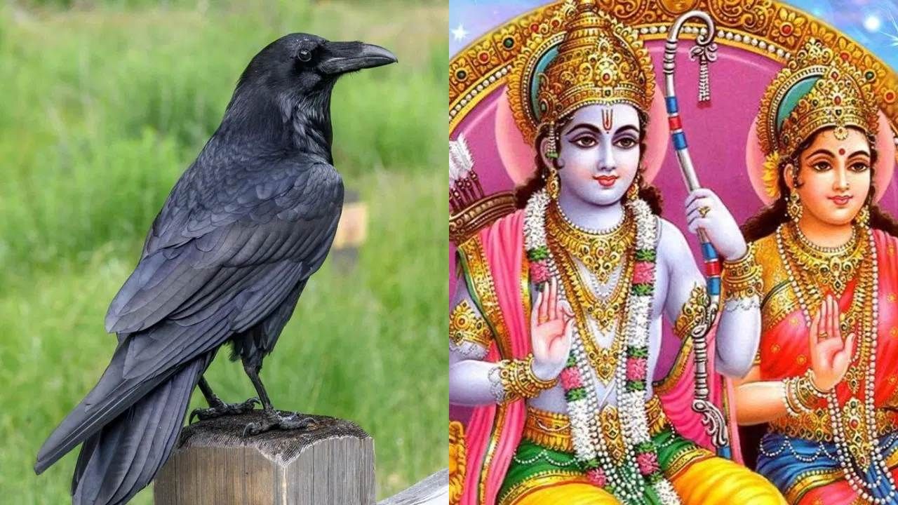 Featured Image Featured Image