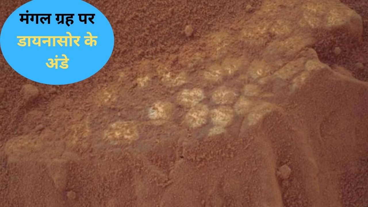 Featured Image Featured Image