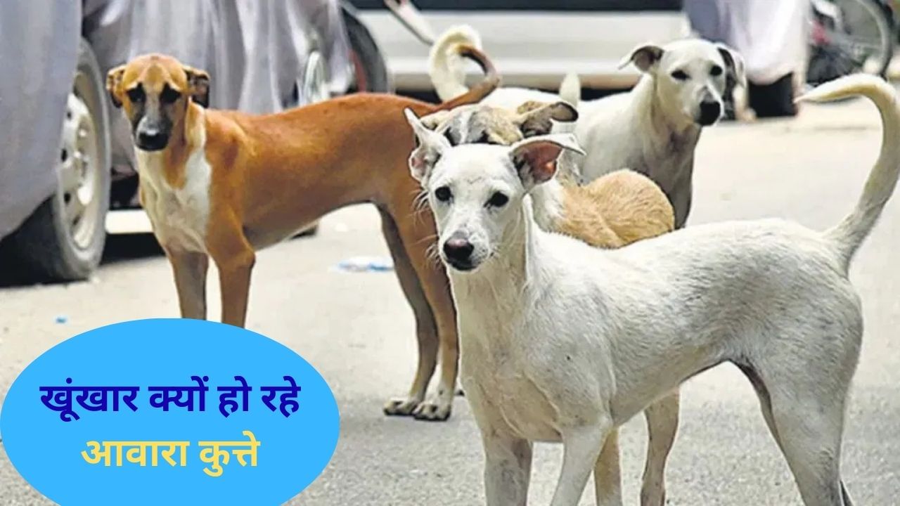 Featured Image Featured Image