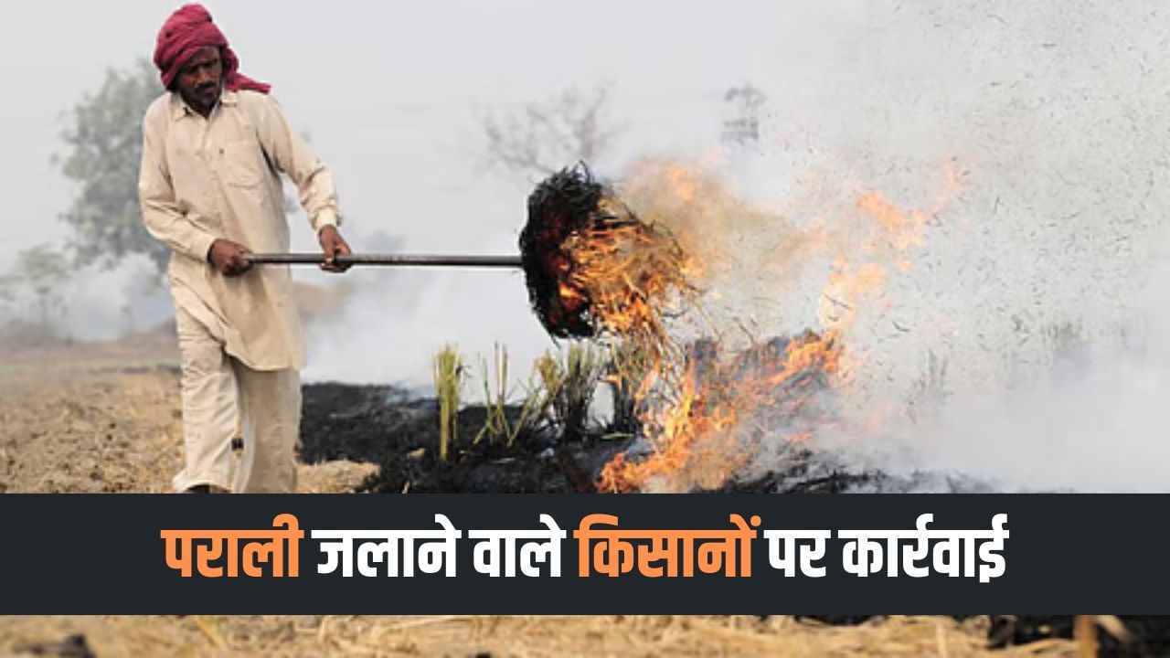 Featured Image Featured Image