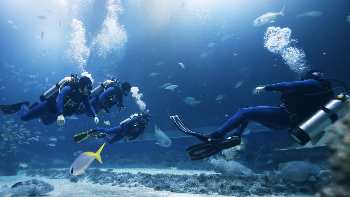 Featured Image Featured Image