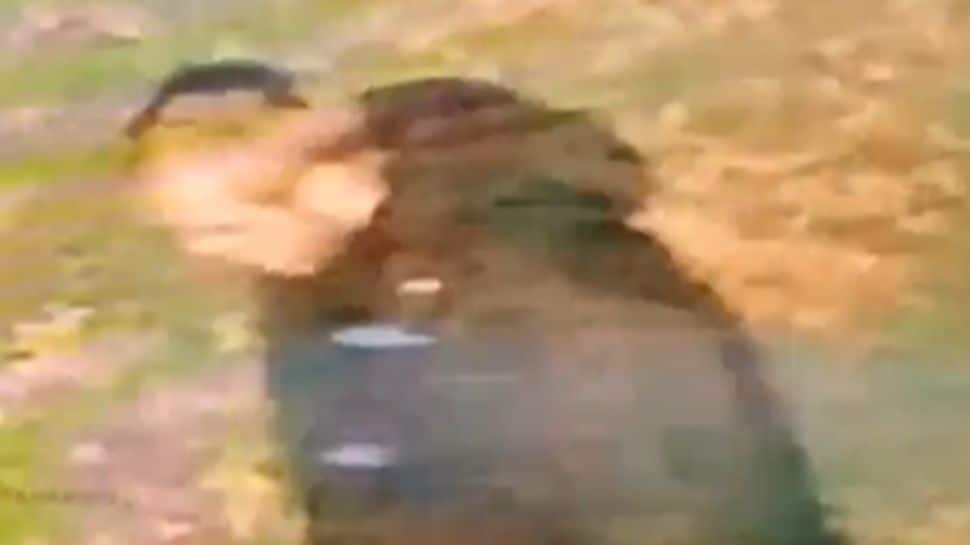 Featured Image Featured Image