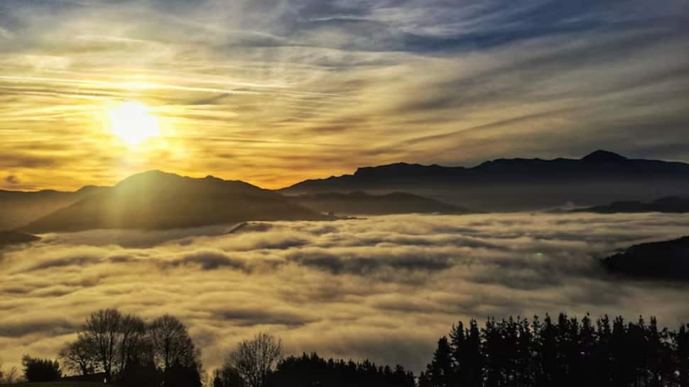 Featured Image Featured Image