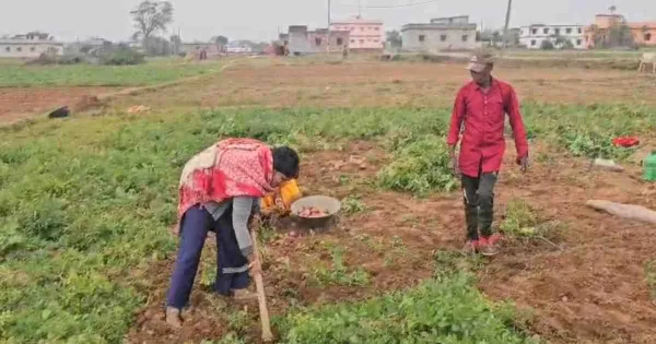 Featured Image Featured Image